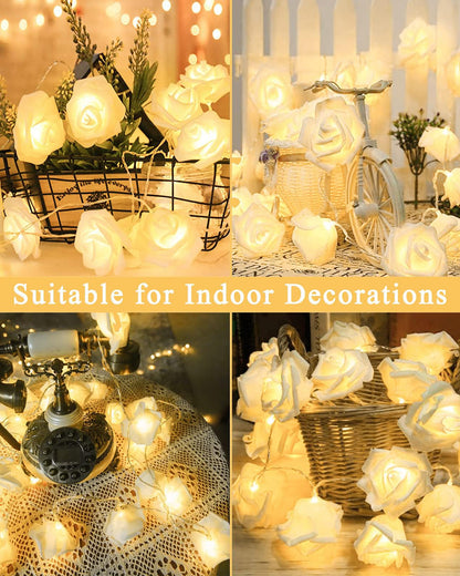 Warm White Rose String Lights 5M 14LED Indoor Outdoor Fairy Globe String Lights