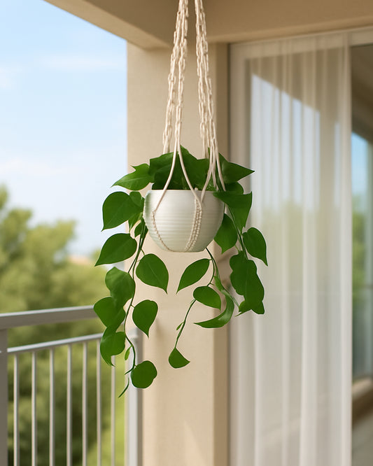 Hanging Plant Fake Money Hanging Plants with Metal Pots, Artificial, Faux Anthurium Leaf Hanging Basket Plant Vine Creeper Wall Home Room Indoor Outdoor Decor