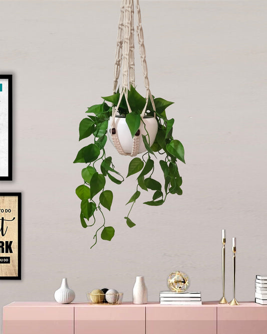 Hanging Plant Fake Money Hanging Plants with Metal Pots, Artificial, Faux Anthurium Leaf Hanging Basket Plant Vine Creeper Wall Home Room Indoor Outdoor Decor
