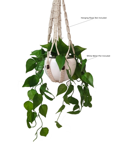 Hanging Plant Fake Money Hanging Plants with Metal Pots, Artificial, Faux Anthurium Leaf Hanging Basket Plant Vine Creeper Wall Home Room Indoor Outdoor Decor