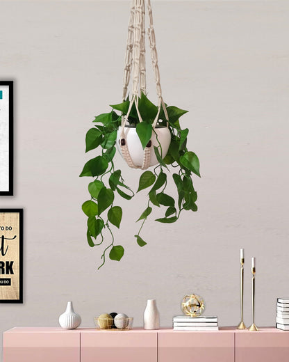 money plant decoration in balcony Artificial Fake Hanging Vine Plant Leaves Decoration, Money Plant, Cre – Homesake.in