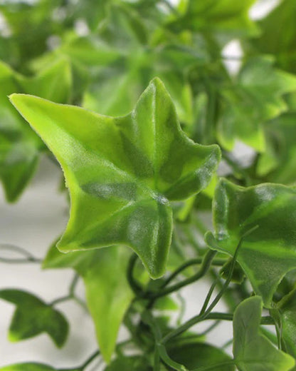 Artificial Fake Hanging Vine Plant Leaves Decoration, Star Shape Plant, Creeper Silk Cloth, Wall Room Balcony Green without pot, SIZE cm