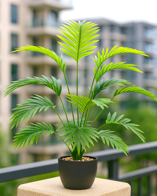 Artificial Faux Palm Plants Acacia/Green Tropical Plant Tree for Home Decor Living Room Corner Office Small Medium Size 28 inch (Without Pot, 1)