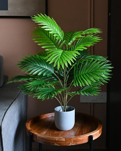 Artificial Faux Palm Plants Acacia/Green Tropical Plant Tree for Home Decor Living Room Corner Office Small Medium Size 28 inch (Without Pot, 1)