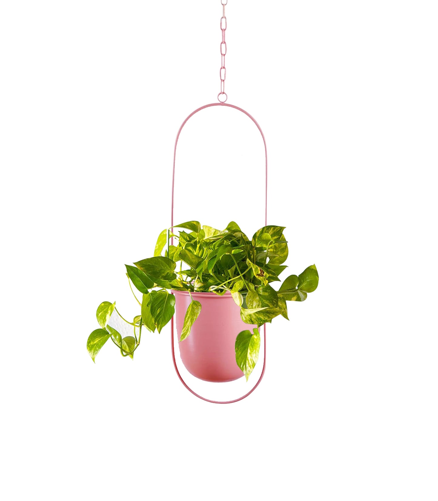 Oval Hanging Metal Pot Stand with Planter (7 Inch Wide* 17 Inch High) for Indoor & Outdoor Plants Living Room Balcony Zen Decoration (Plant is not Included)