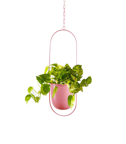 Oval Hanging Metal Pot Stand with Planter (7 Inch Wide* 17 Inch High) for Indoor & Outdoor Plants Living Room Balcony Zen Decoration (Plant is not Included)