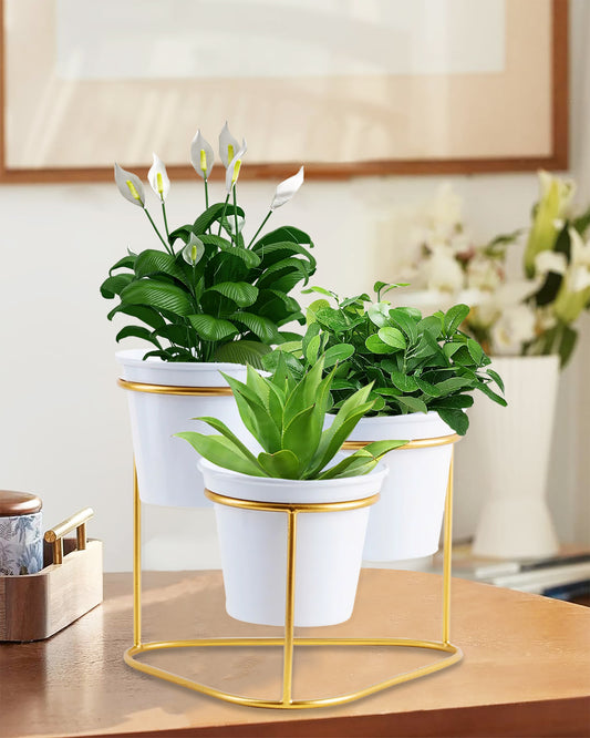 Homesake® Gold and White Metal Triple Planter ,Pot for Succulents, Cactus & Small Plants - Minimalistic Design for Desk Window Modern Kitchen