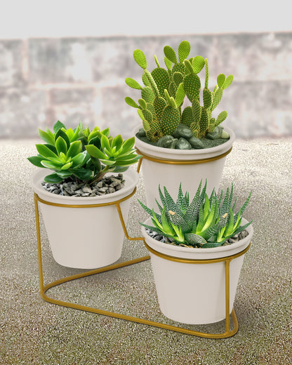 Homesake® Gold and White Metal Triple Planter ,Pot for Succulents, Cactus & Small Plants - Minimalistic Design for Desk Window Modern Kitchen