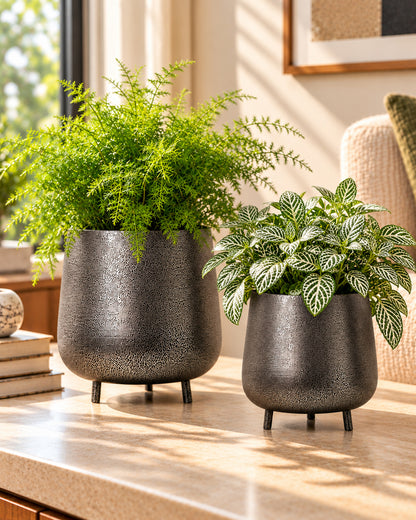 Homesake® Metal Flower Pots Planter DistressToned Garden Planters, 7.5/7 Inch Indoor Round Plant Containers, Pack 2 Cactus Greens Pots with Drainage Hole