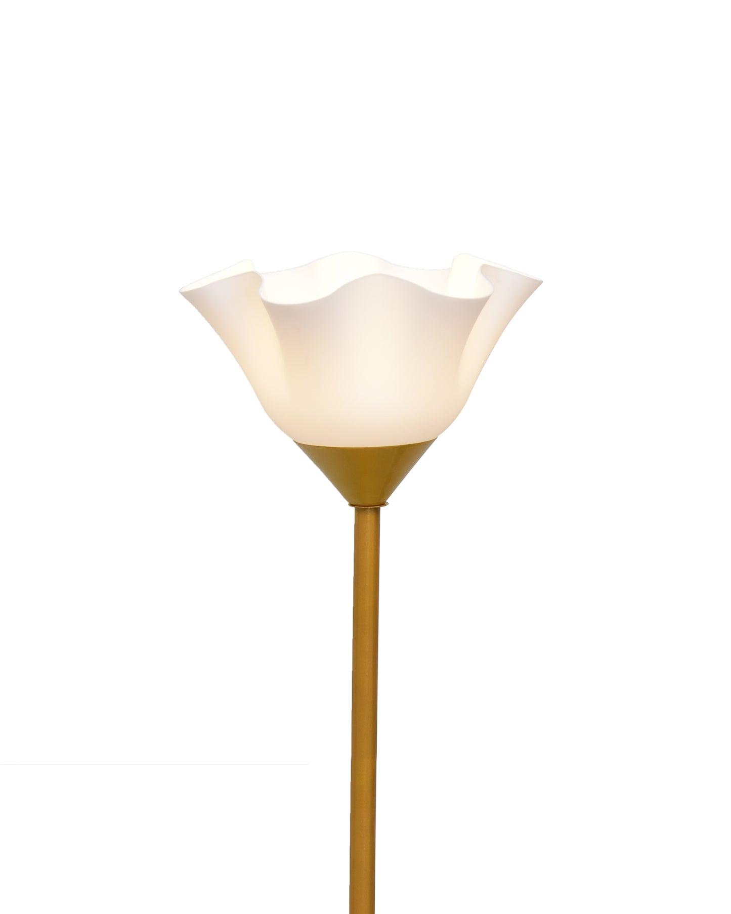 Sky Tulip Standing Lamps with Acrylic Shade,Modern Floor Lamp for Living Room, Bedrooms, Office  Straight