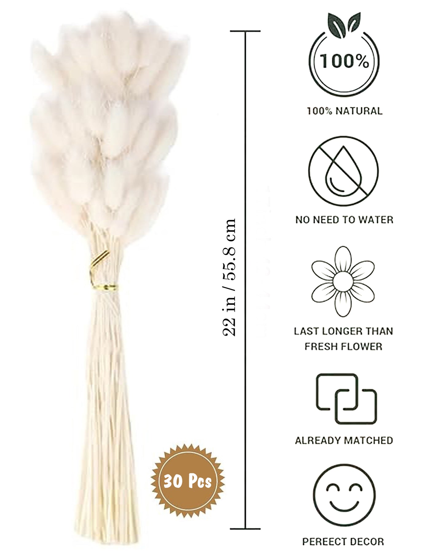 Bunny Tails Dried Flowers, Dried Pampas Grass Bouquet, Boho Table Decor, White Pampas Grass Small, Dried Bunny Tails, Pampas Grass for Wedding, Home, Rustic Party, Baby Shower Decorations, Burnt Coffee 30 pcs and 60 Pcs