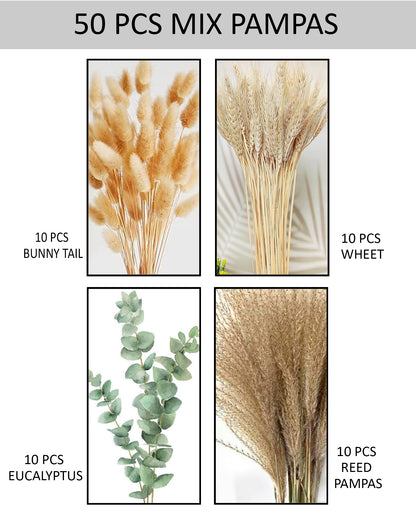 Mixed Dried Pampas Natural Grass Decor DIY Boho Natural Dried Flowers Eucalyptus Decor Dry Dried Plants Bouquet for Vase Home Floral Arrangements Decorations for Home Wedding 50, 70 & 100, Pcs