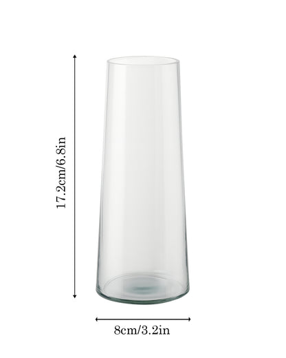 Glass Vase for Plants Flowers (Transparent, 29 cm X 8 cm) - Living Room Glass Vase Pot for Water Plants Home Décor Dining Table Decoration Bedroom Hall Aesthetic House Warming Gift, Stem Vase