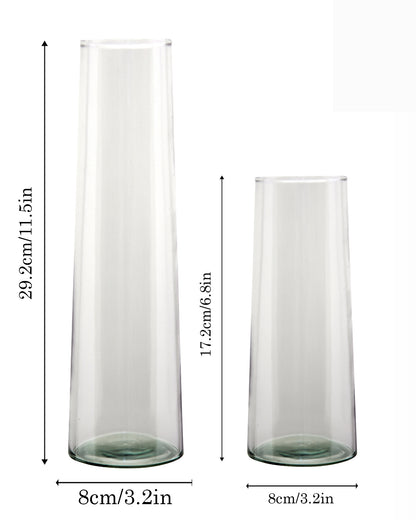 Glass Vase for Plants Flowers (Transparent, 29 cm X 8 cm) - Living Room Glass Vase Pot for Water Plants Home Décor Dining Table Decoration Bedroom Hall Aesthetic House Warming Gift, Stem Vase