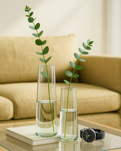 Glass Vase for Plants Flowers (Transparent, 29 cm X 8 cm) - Living Room Glass Vase Pot for Water Plants Home Décor Dining Table Decoration Bedroom Hall Aesthetic House Warming Gift, Stem Vase