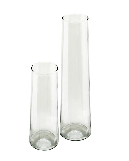 Glass Vase for Plants Flowers (Transparent, 29 cm X 8 cm) - Living Room Glass Vase Pot for Water Plants Home Décor Dining Table Decoration Bedroom Hall Aesthetic House Warming Gift, Stem Vase