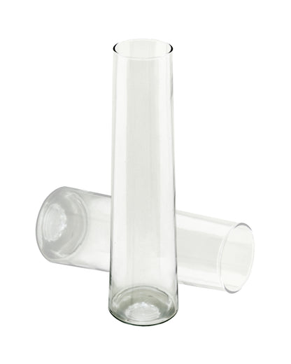 Glass Vase for Plants Flowers (Transparent, 29 cm X 8 cm) - Living Room Glass Vase Pot for Water Plants Home Décor Dining Table Decoration Bedroom Hall Aesthetic House Warming Gift, Stem Vase
