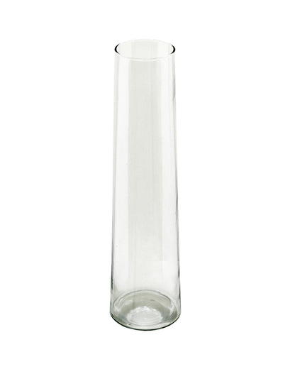 Glass Vase for Plants Flowers (Transparent, 29 cm X 8 cm) - Living Room Glass Vase Pot for Water Plants Home Décor Dining Table Decoration Bedroom Hall Aesthetic House Warming Gift, Stem Vase