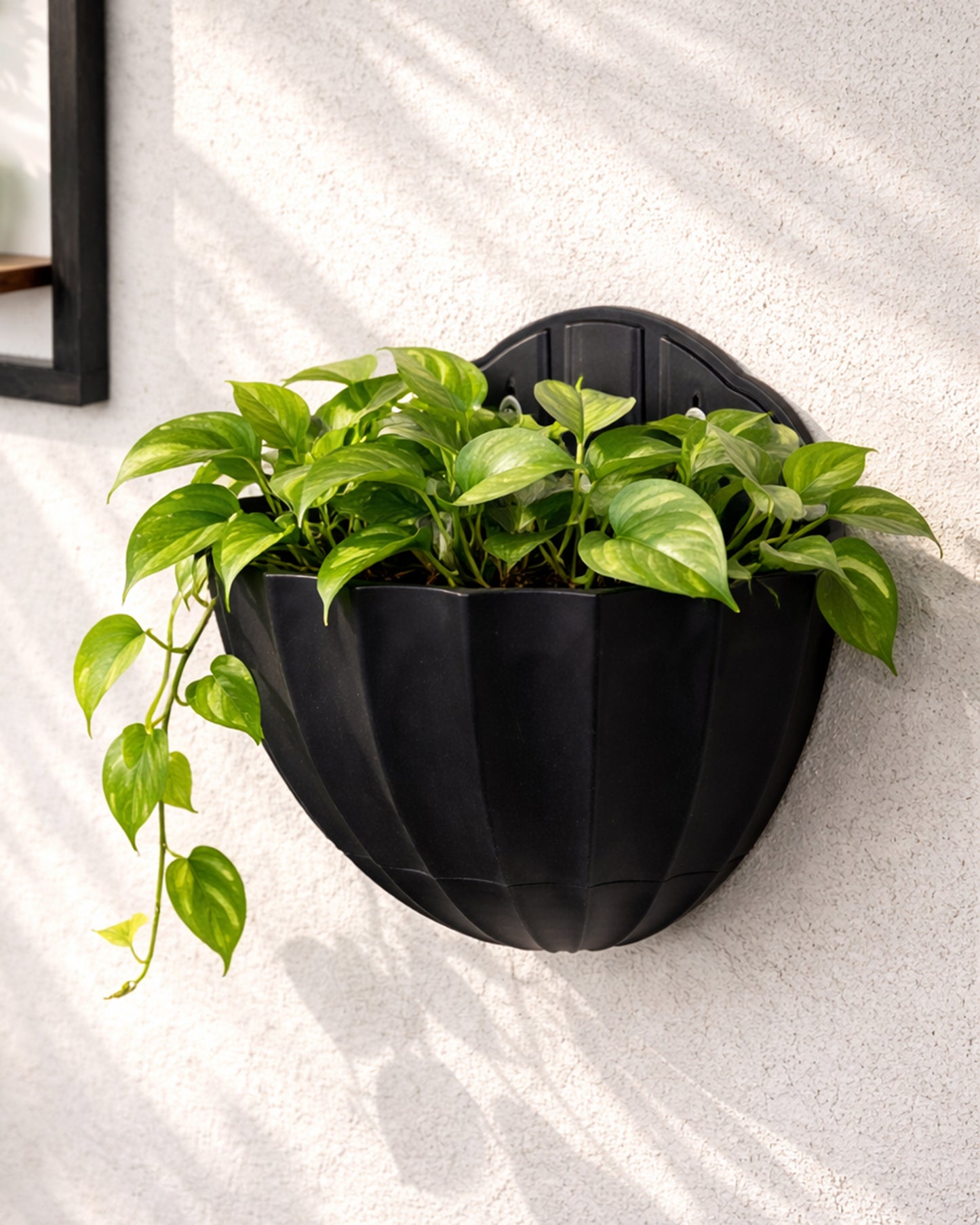 Homesake® Black Self Watering Wall Planter Ribbed Half Moon, Rustproof PP, Dual Chamber Design