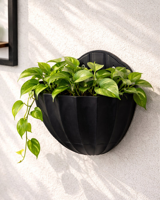 Homesake® Black Self Watering Wall Planter Ribbed Half Moon, Rustproof PP, Dual Chamber Design
