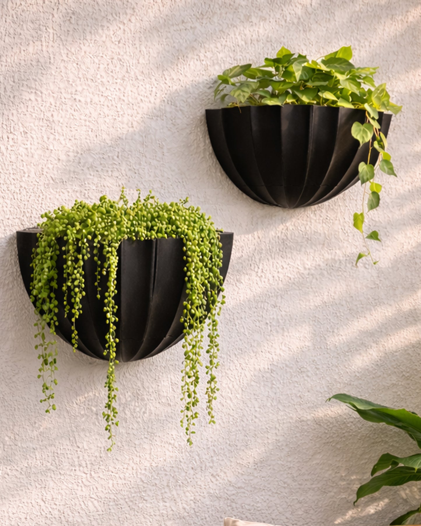 Homesake® Black Self Watering Wall Planter Ribbed Half Moon, Rustproof PP, Dual Chamber Design