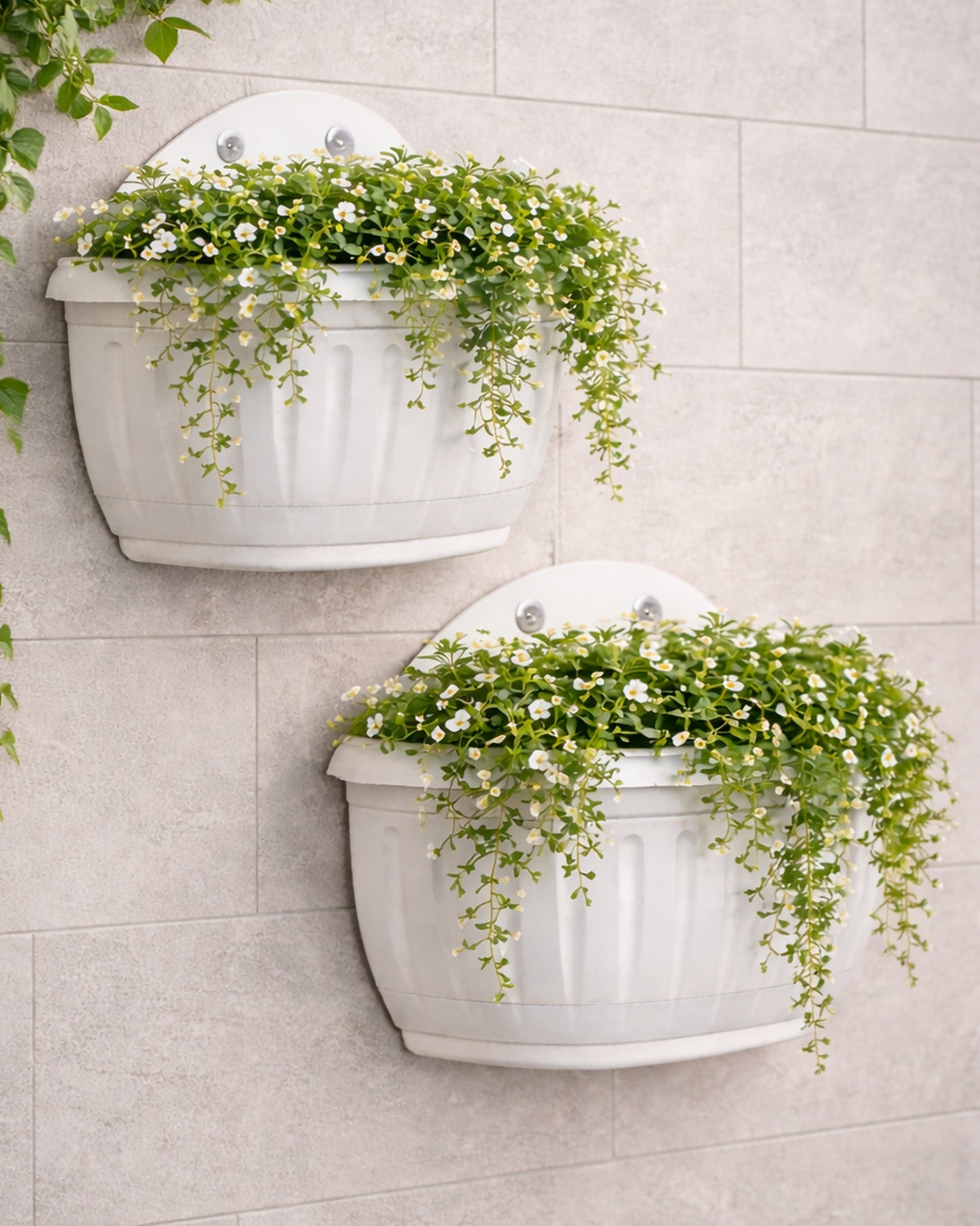 Homesake® White Self Watering Wall Planter Ribbed Wall Square, Rustproof PP, Dual Chamber Design