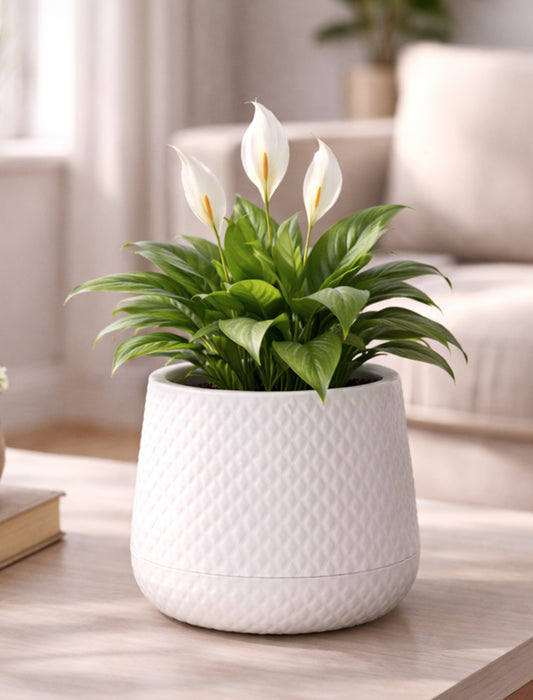 Homesake® Aqua Rib Self Watering Planter Pot for Indoor Plants, Ribbed Design Plastic Flower Pot with Dual Water Reservoir, Modern Decorative Planter for Living Room, Balcony & Office, White, Set of 1