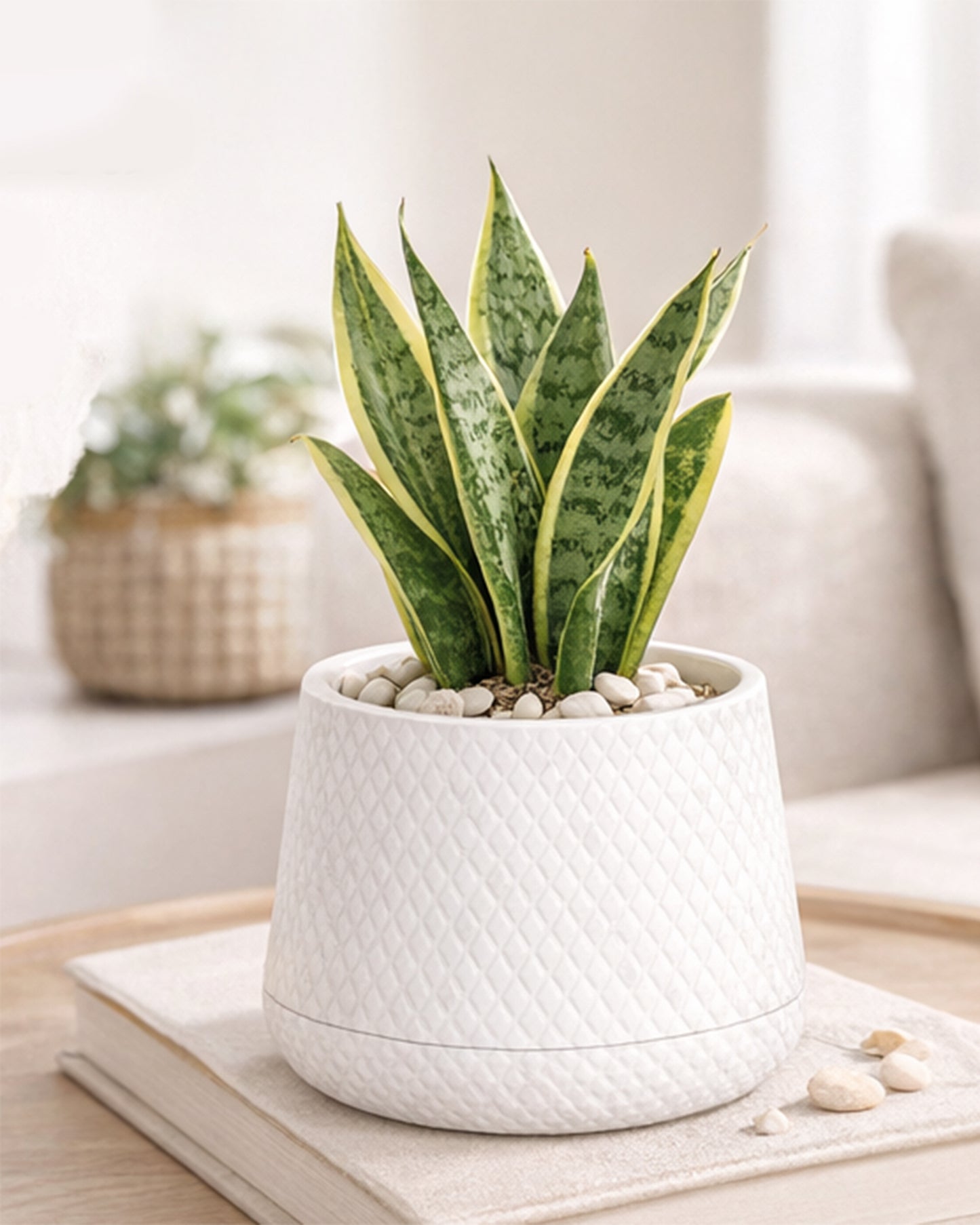 Homesake® Aqua Rib Self Watering Planter Pot for Indoor Plants, Ribbed Design Plastic Flower Pot with Dual Water Reservoir, Modern Decorative Planter for Living Room, Balcony & Office, White, Set of 1